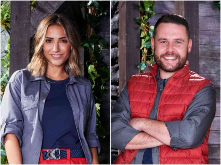I’m a Celebrity 2017 stars likely to alienate both viewers and bookies